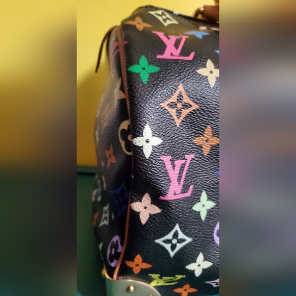 Louis Vuitton Multicolor Speedy - Picture 9 of 16